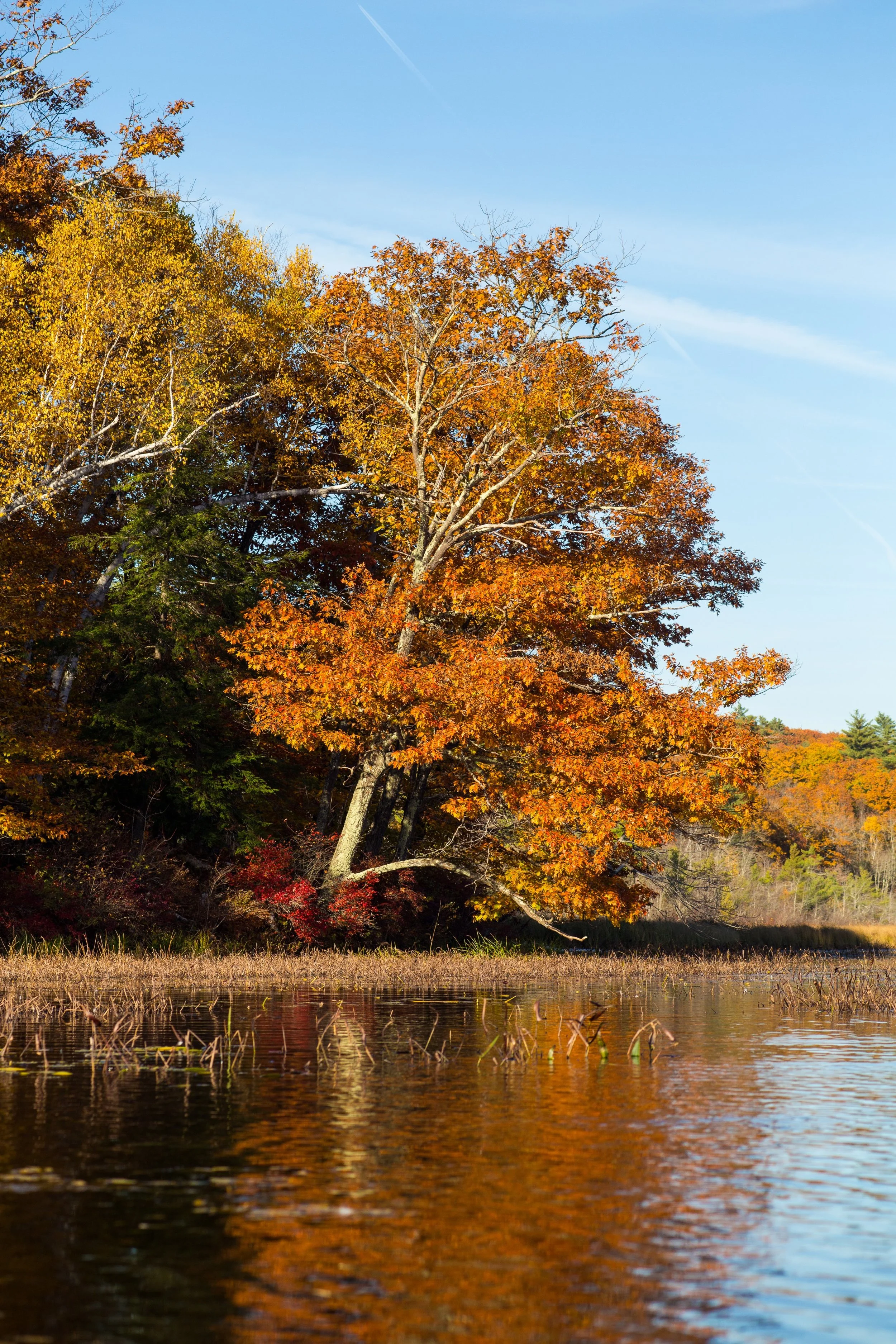 Hopkins Stream Fall Paddle