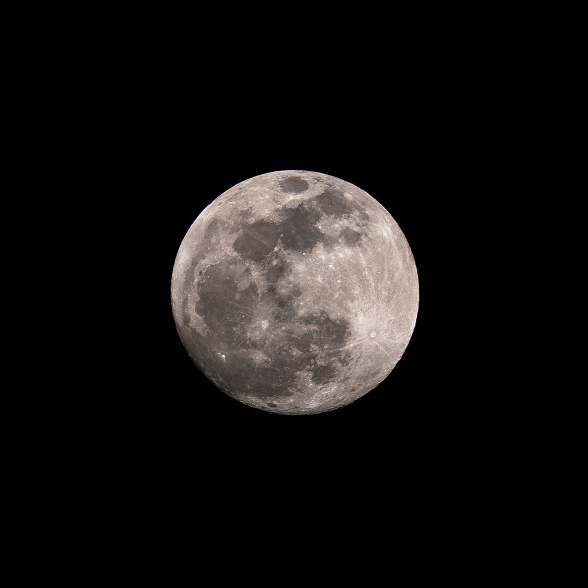 Surry Hill Full Moon Hike