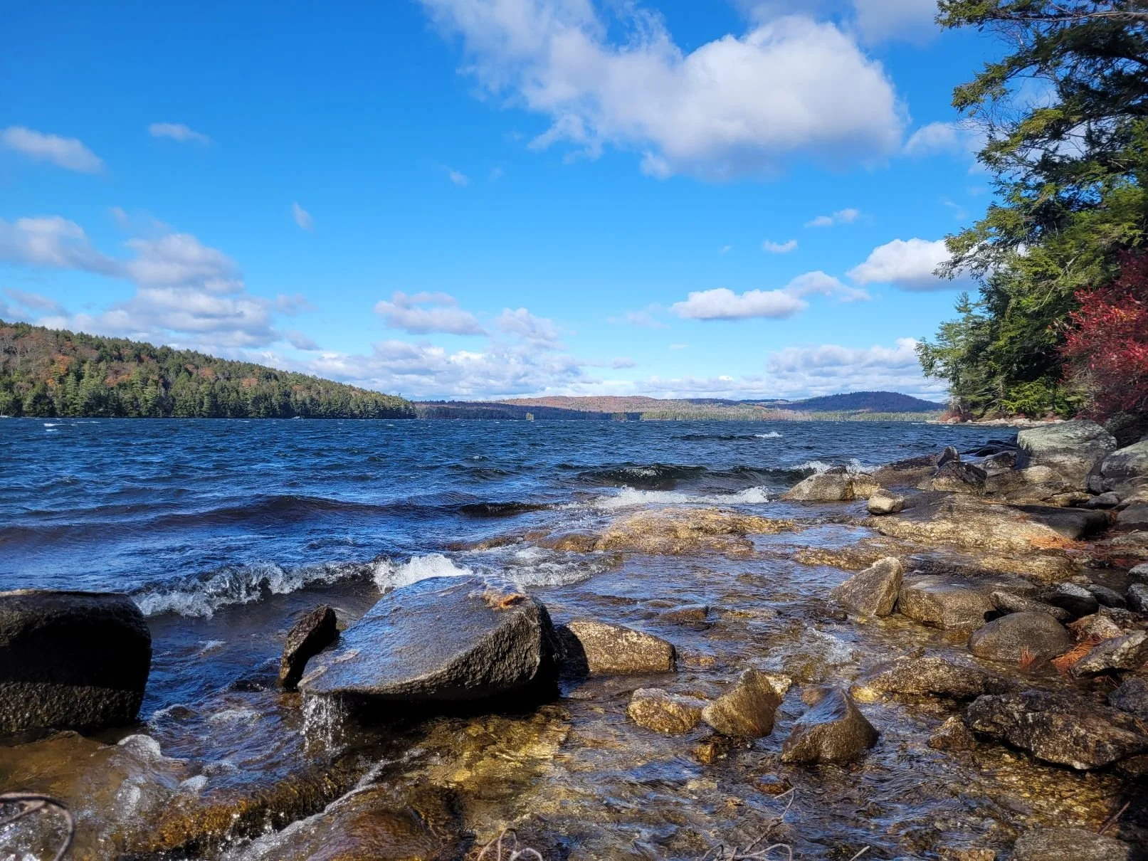 Parker Pond East Shore Clean Up 10am-3pm