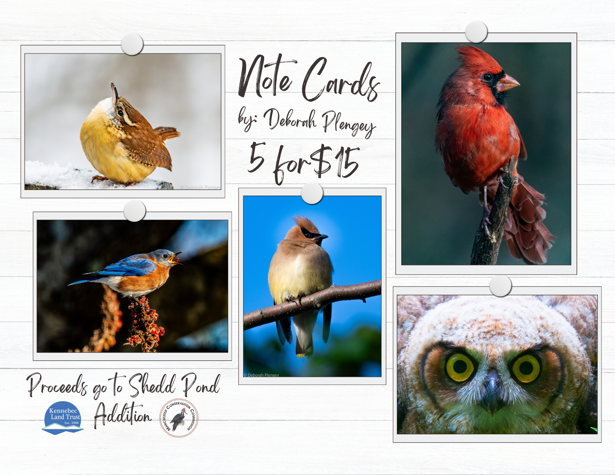 Shedd Pond Note Cards2.png