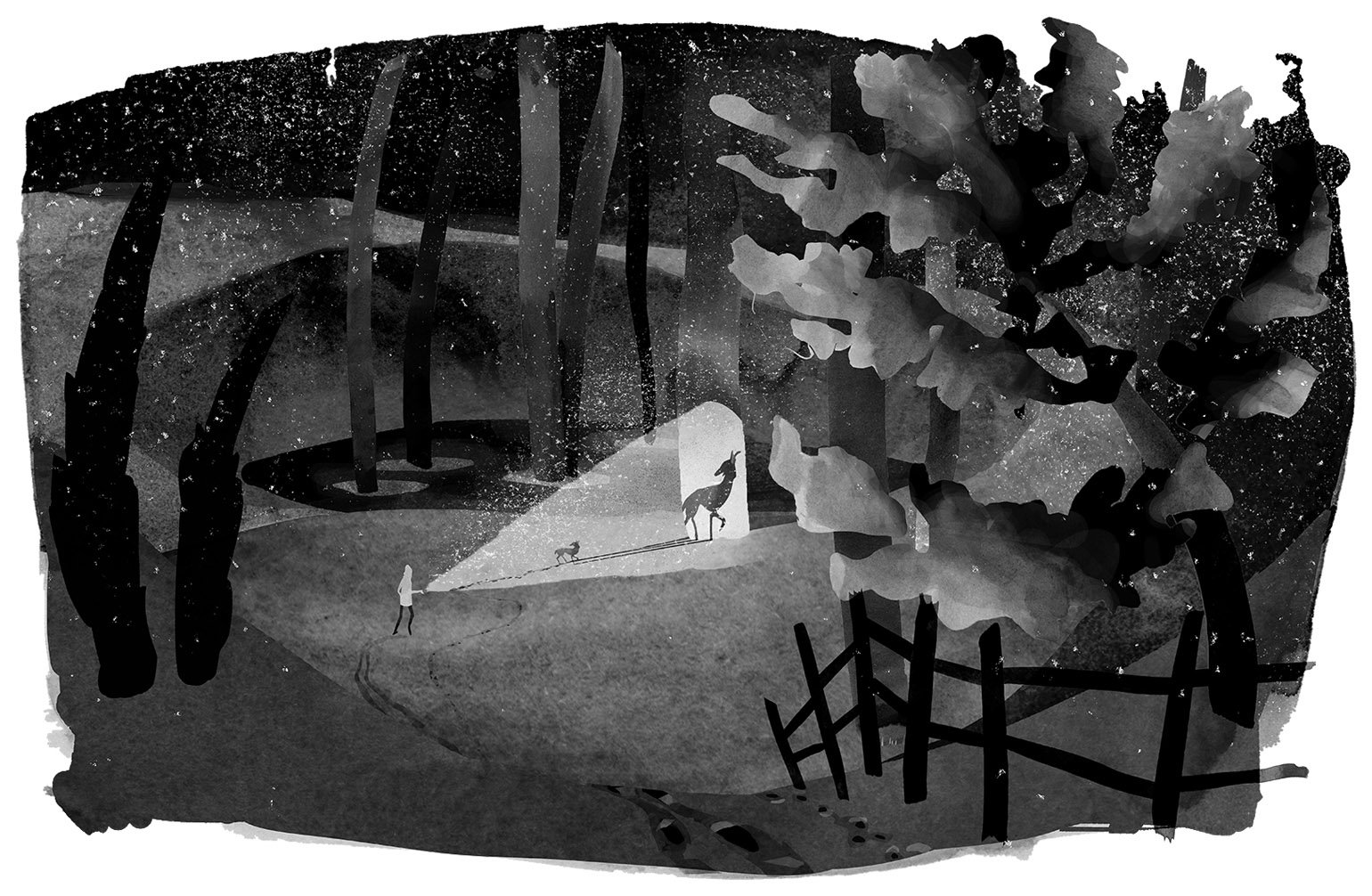 snowy woods.jpg