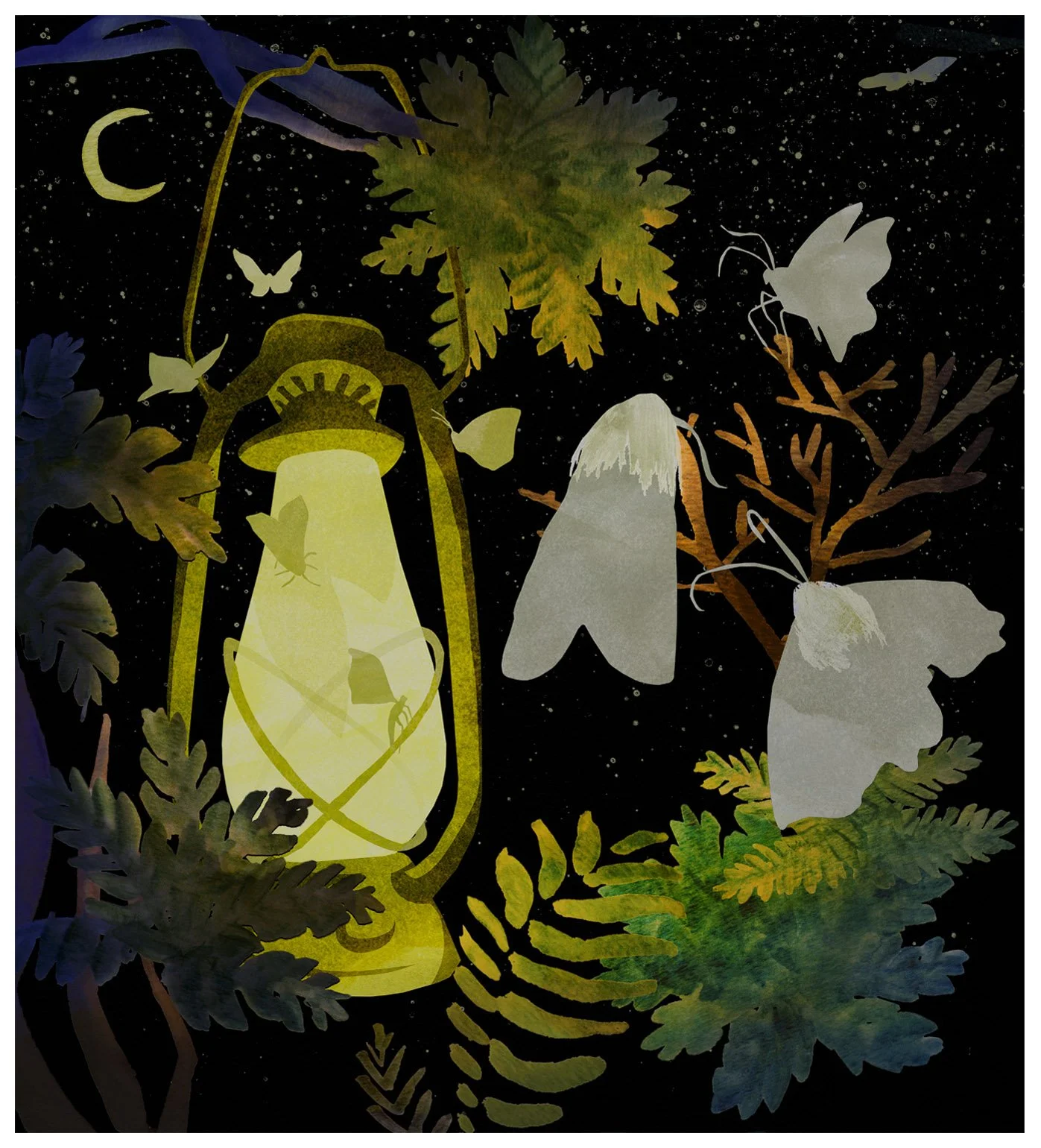 moth lantern.jpg