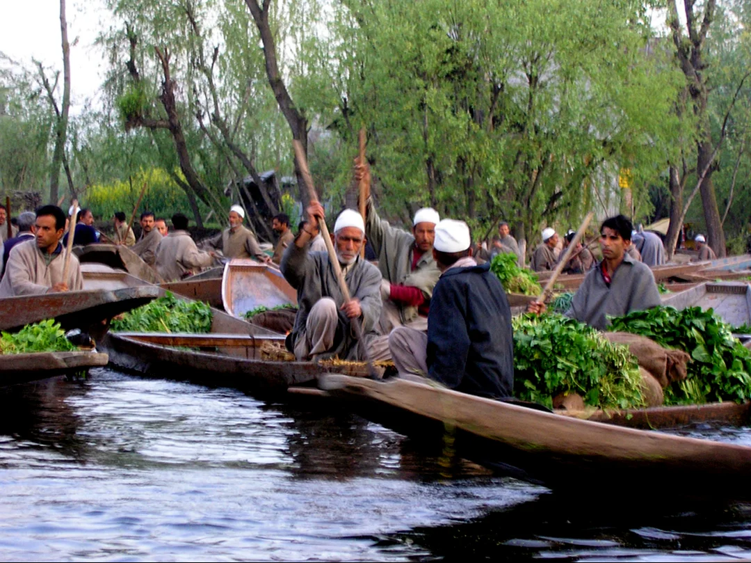 Dal-lake-boats.jpg