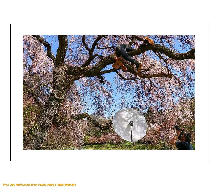 CHERRY BLOSSOMS_Page_12.jpg