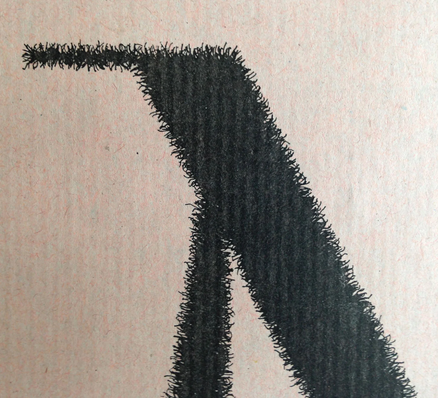 bb_krokodil_tschech_detail.jpg