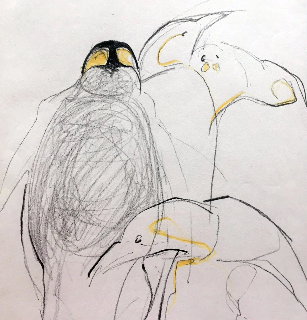 skizze_pinguin_1.jpg