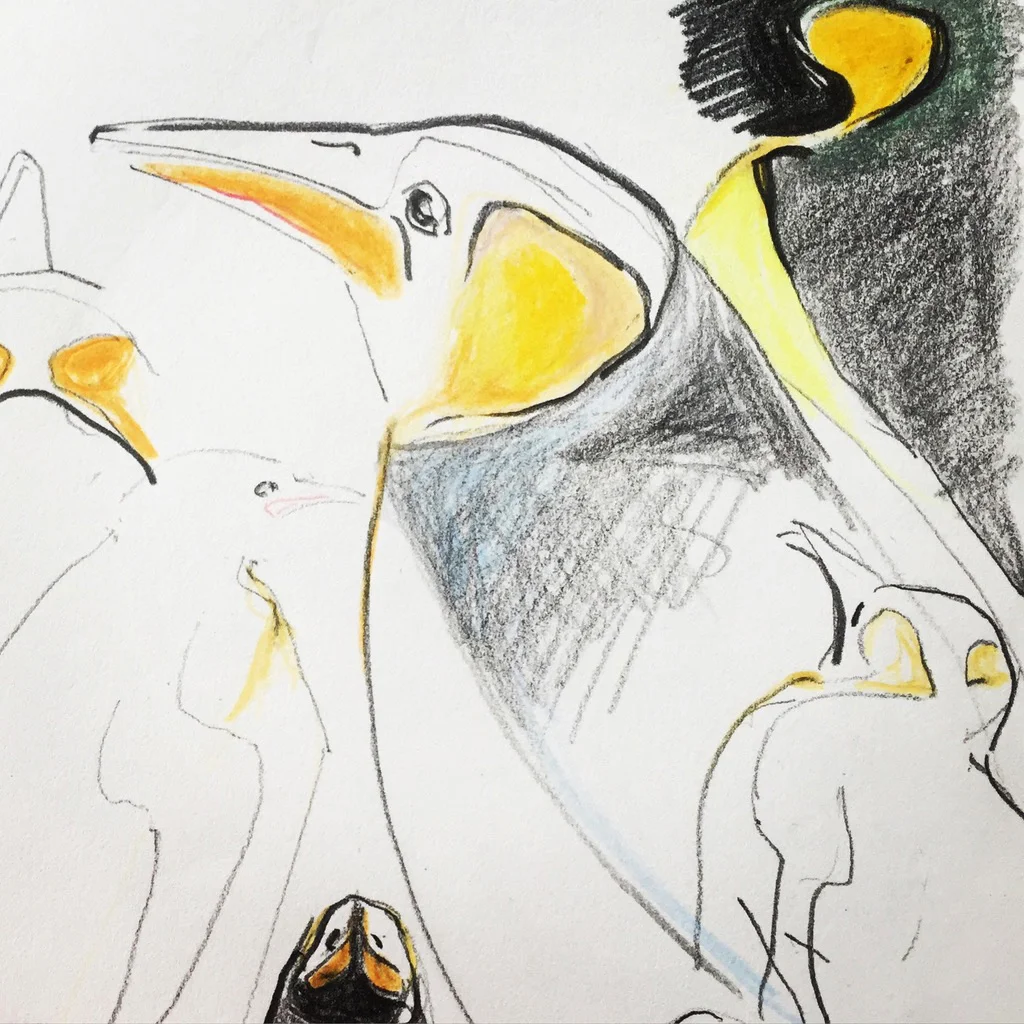 skizze_pinguin_2.jpg