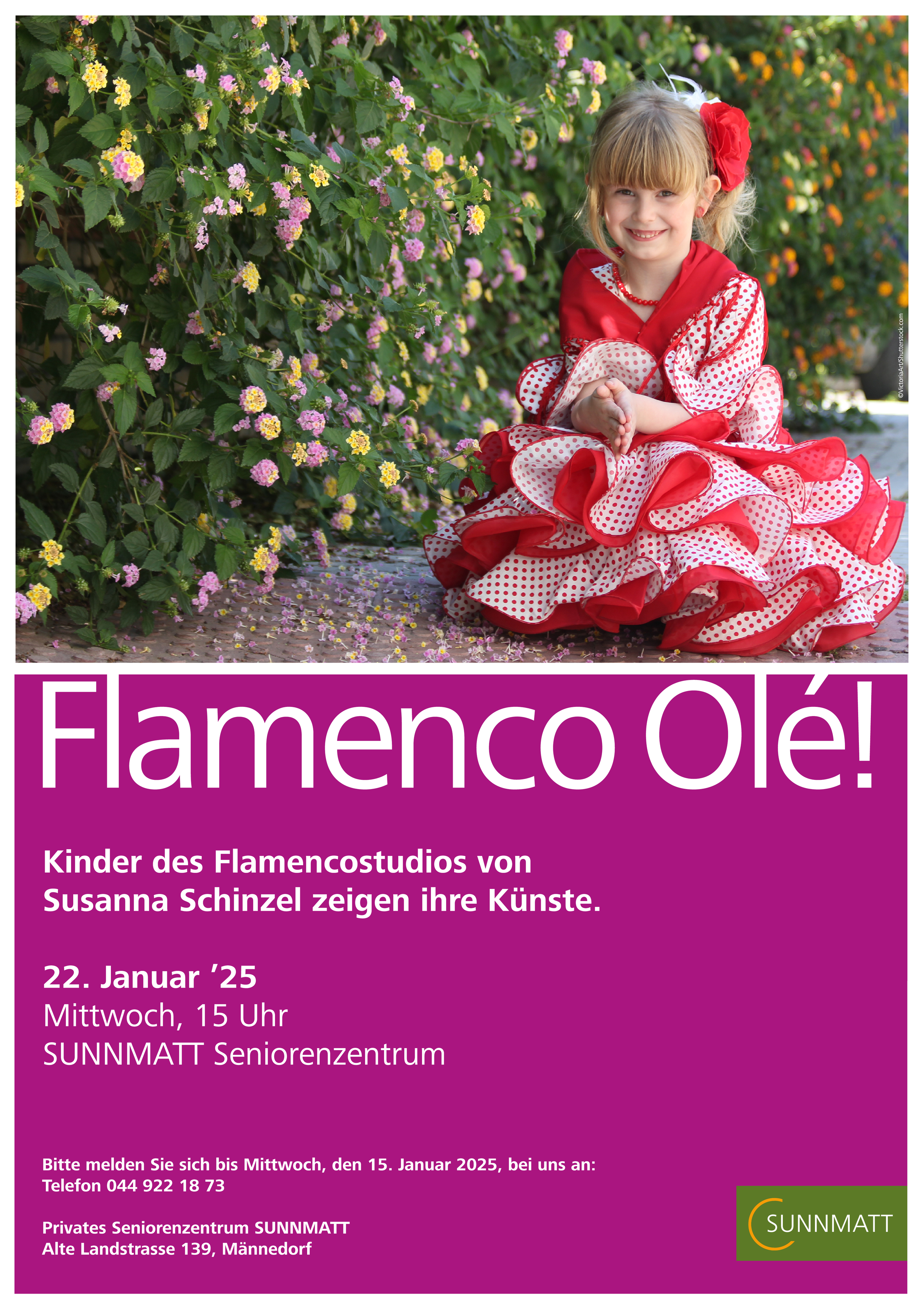plakat_A4_flamenco.png