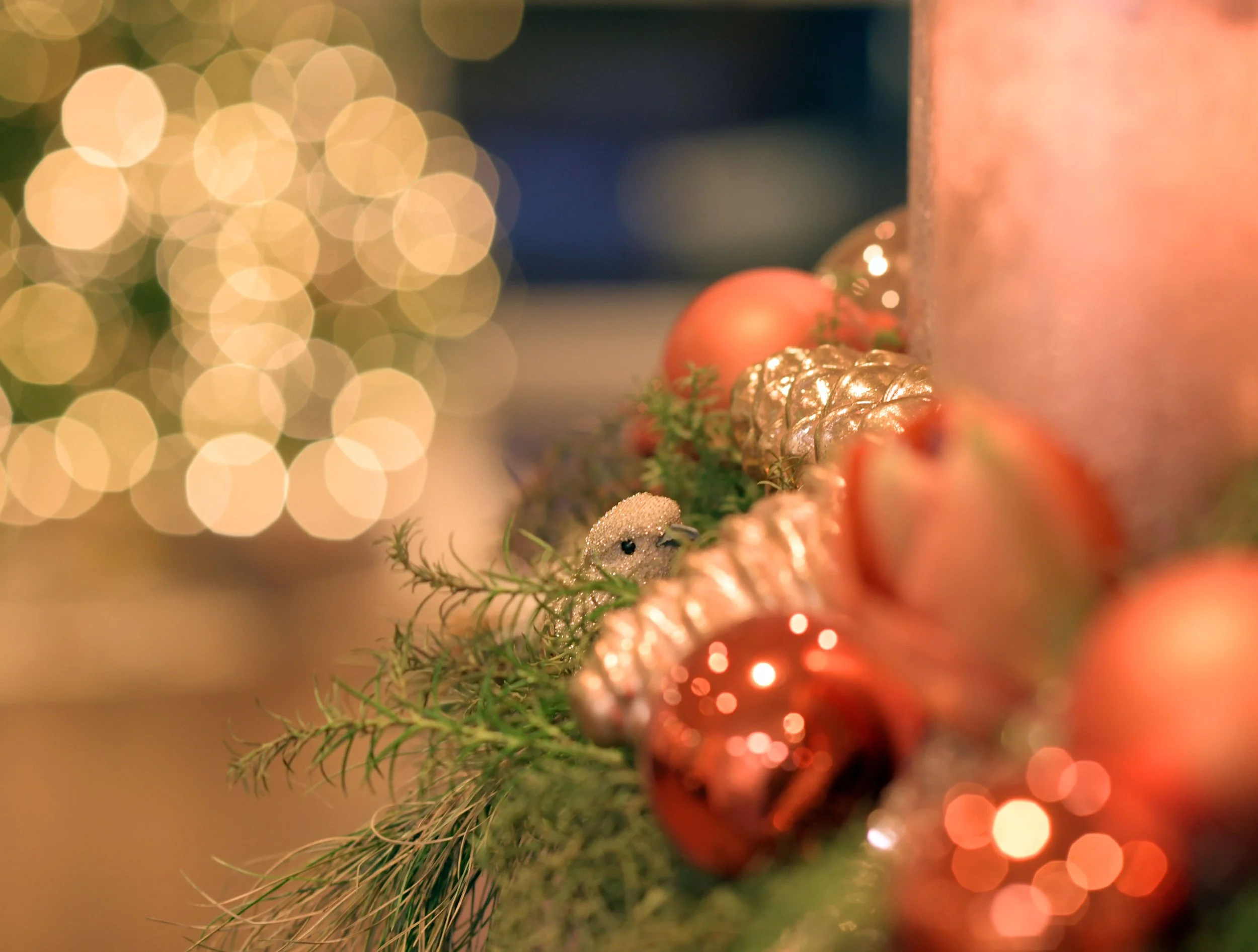 weihnachtsvogel_4.jpg