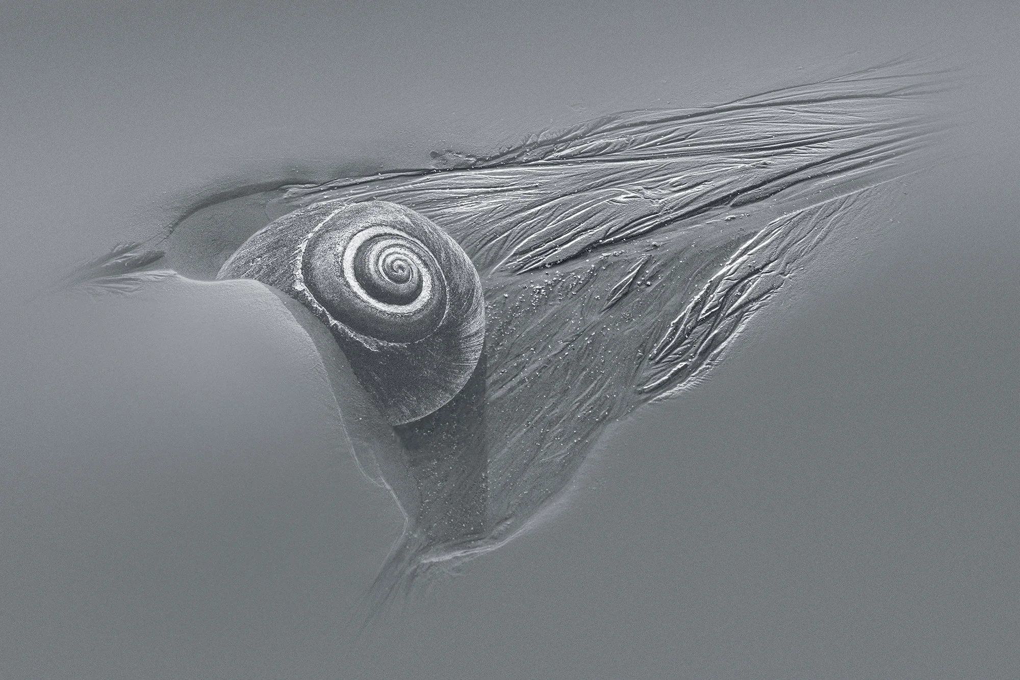 Spiral2.jpg
