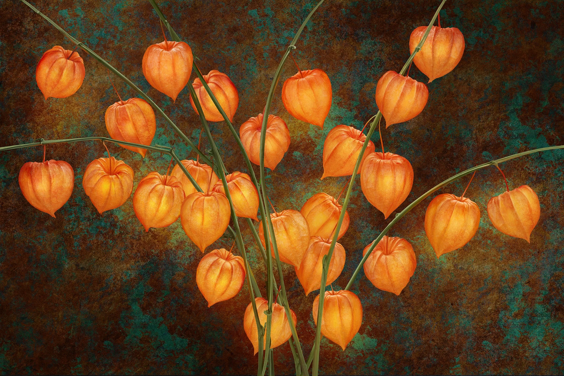 Lanterns.jpg