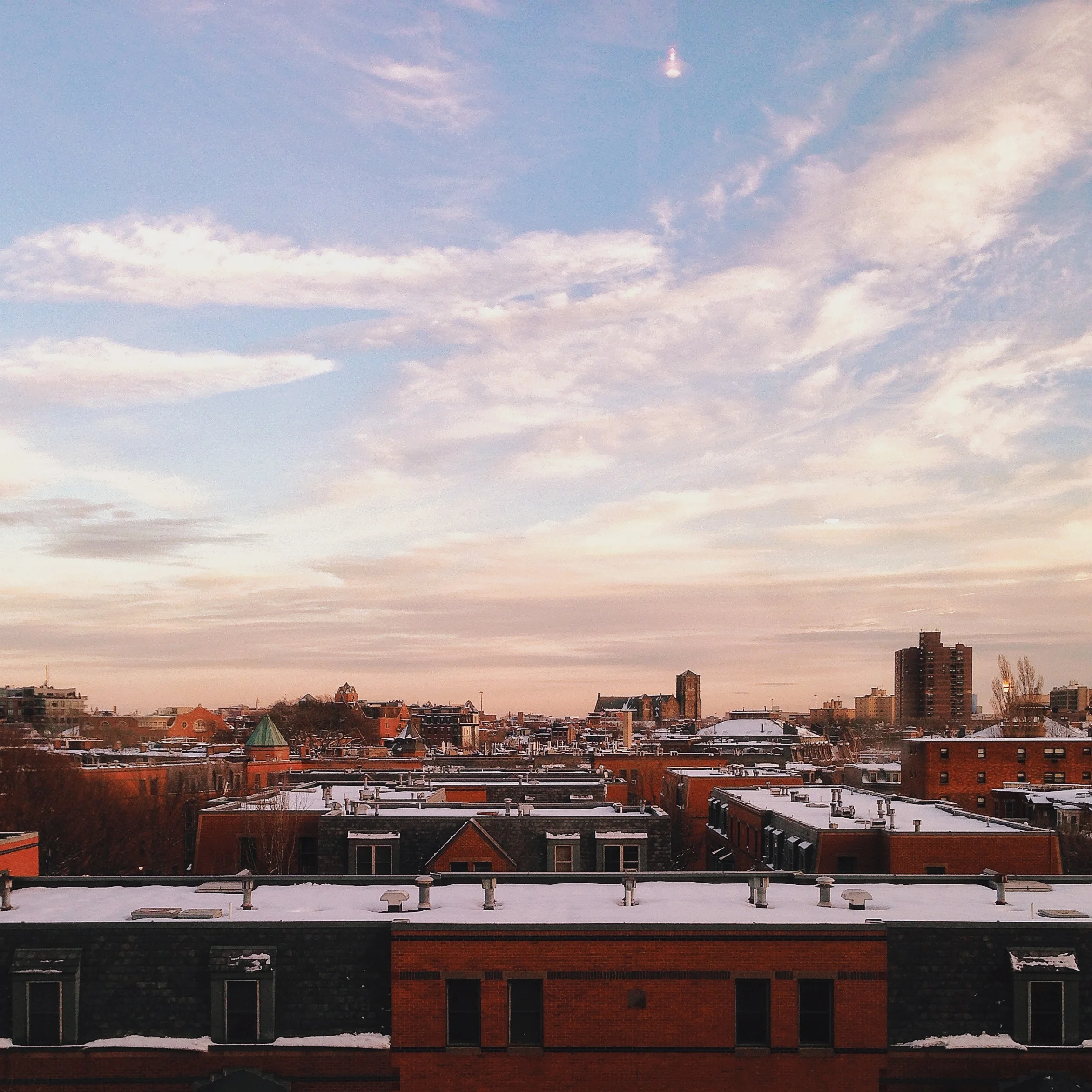 Rooftops.JPG