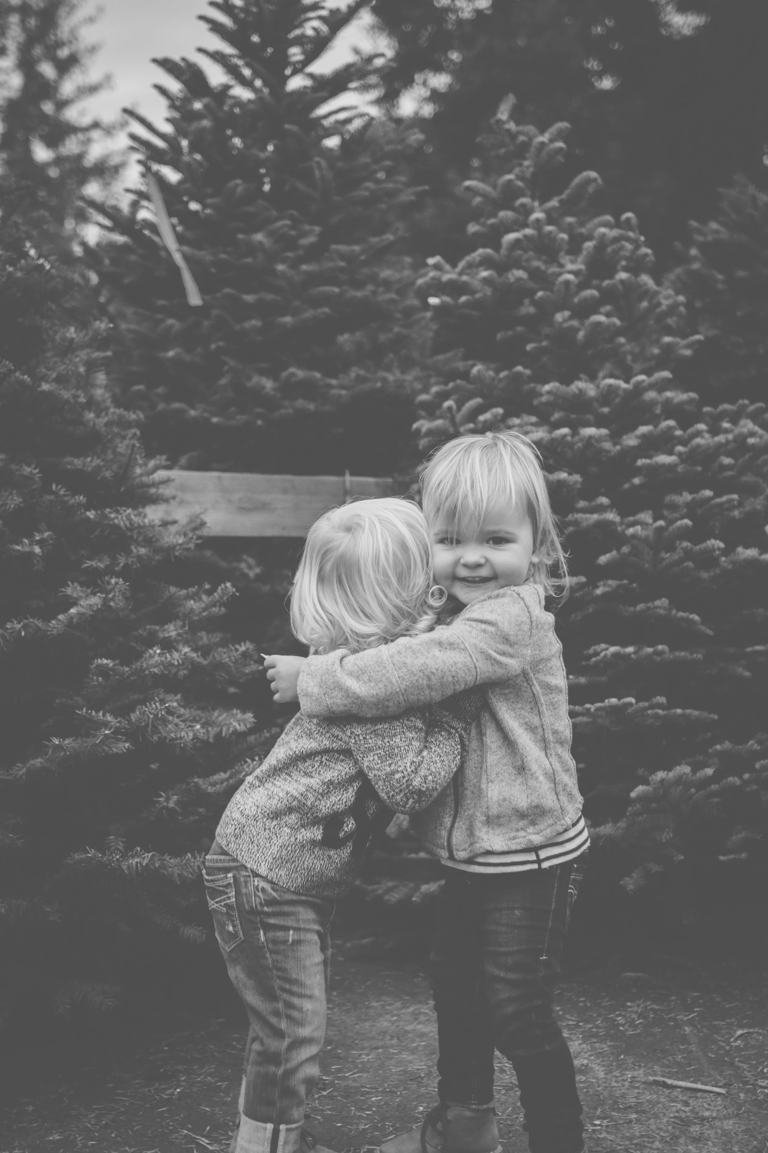 IMG_6659-2.jpg