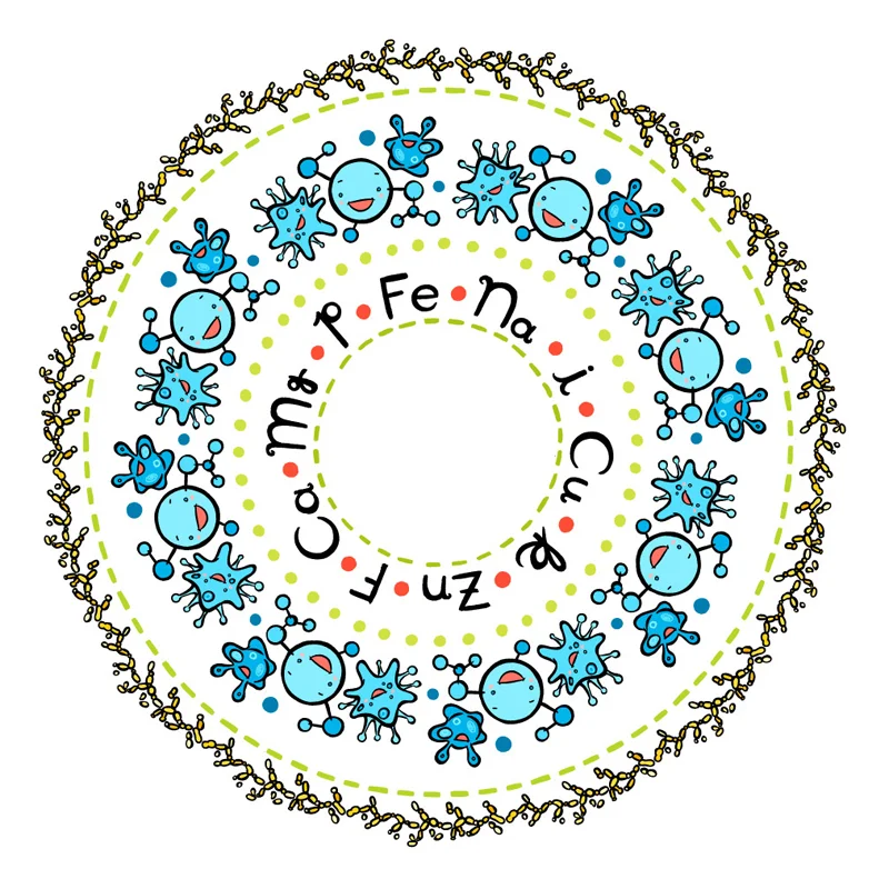 Multibionta-2of3.jpg