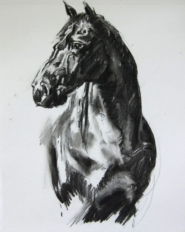 untitled, 2013, charcoal on paper, 18 x 14 in