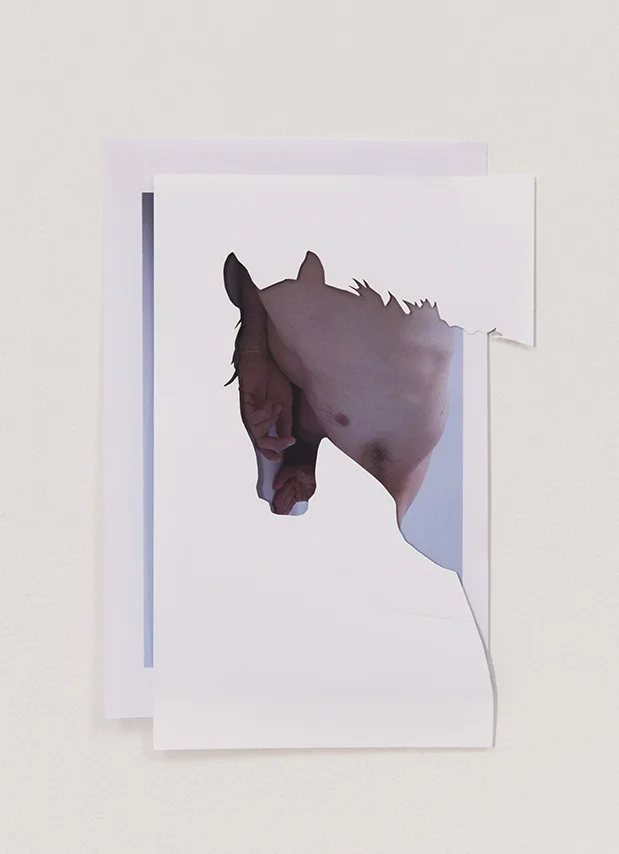 cutout #1