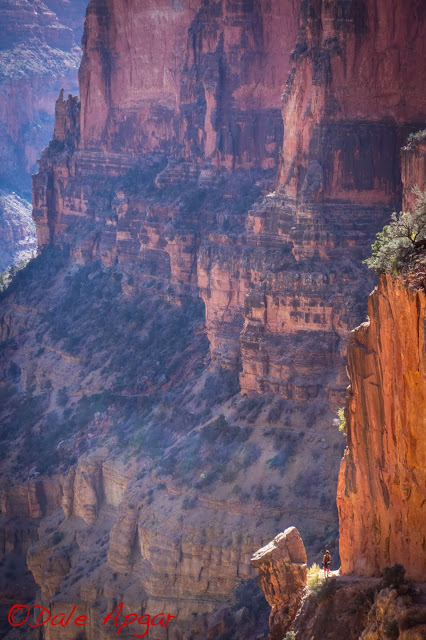 The scale makes you look twice...a lot