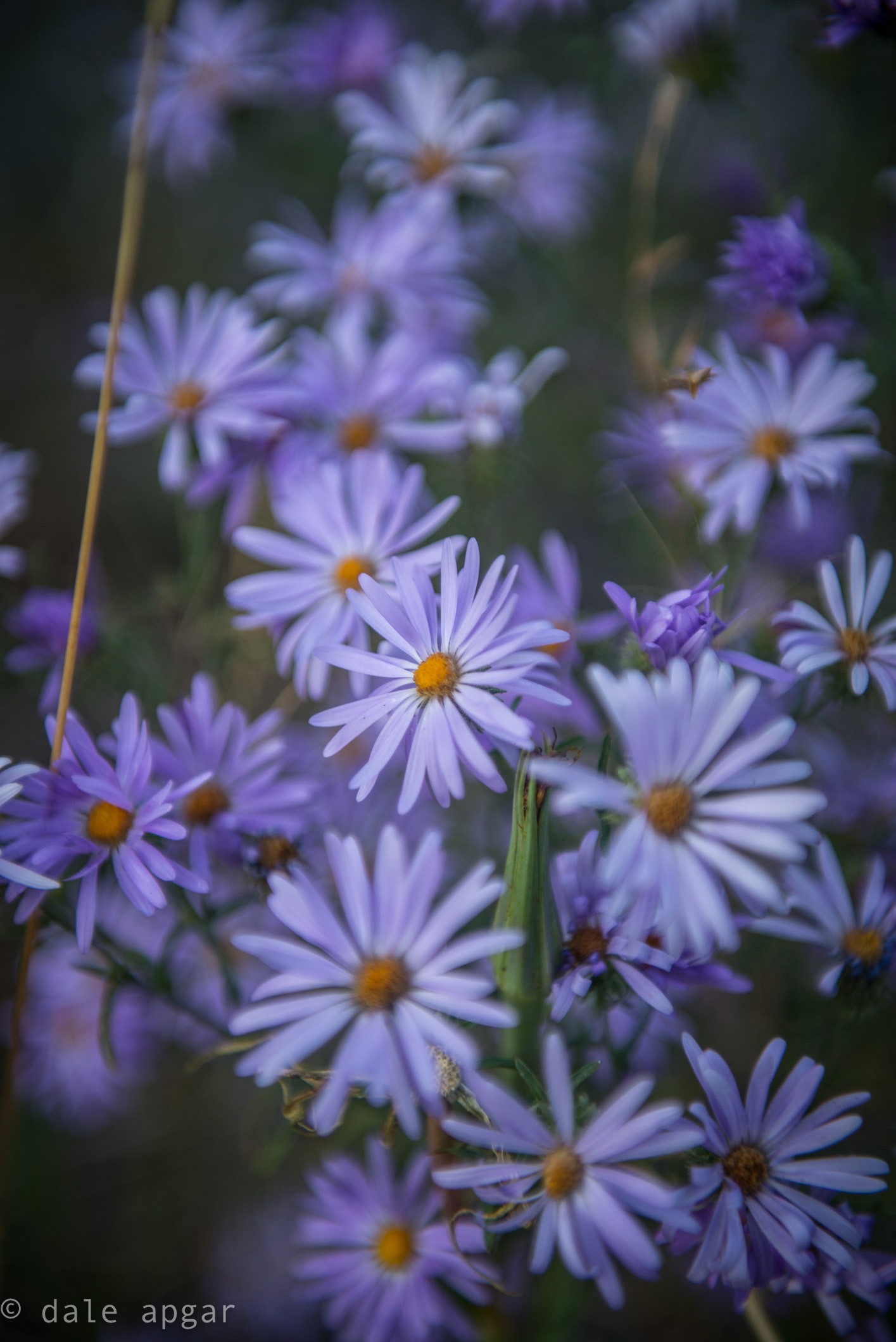 Don't forget to take a moment and let the simple roadside attractions catch your attention