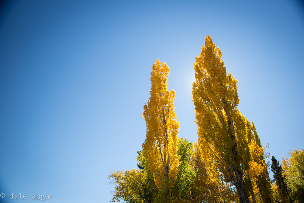  I’m a sucker for fall foliage 