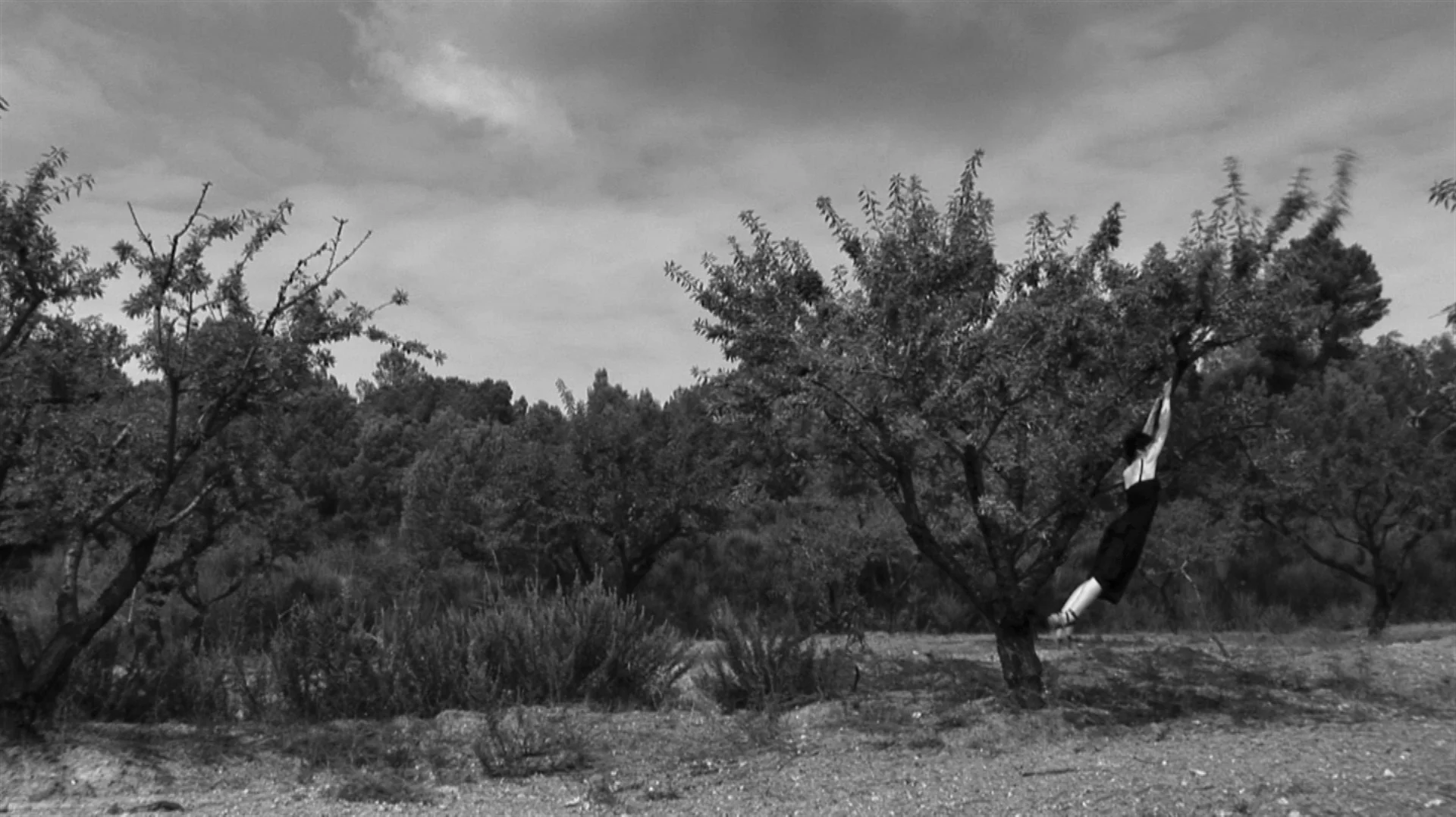 Time Lapse 2, 2009