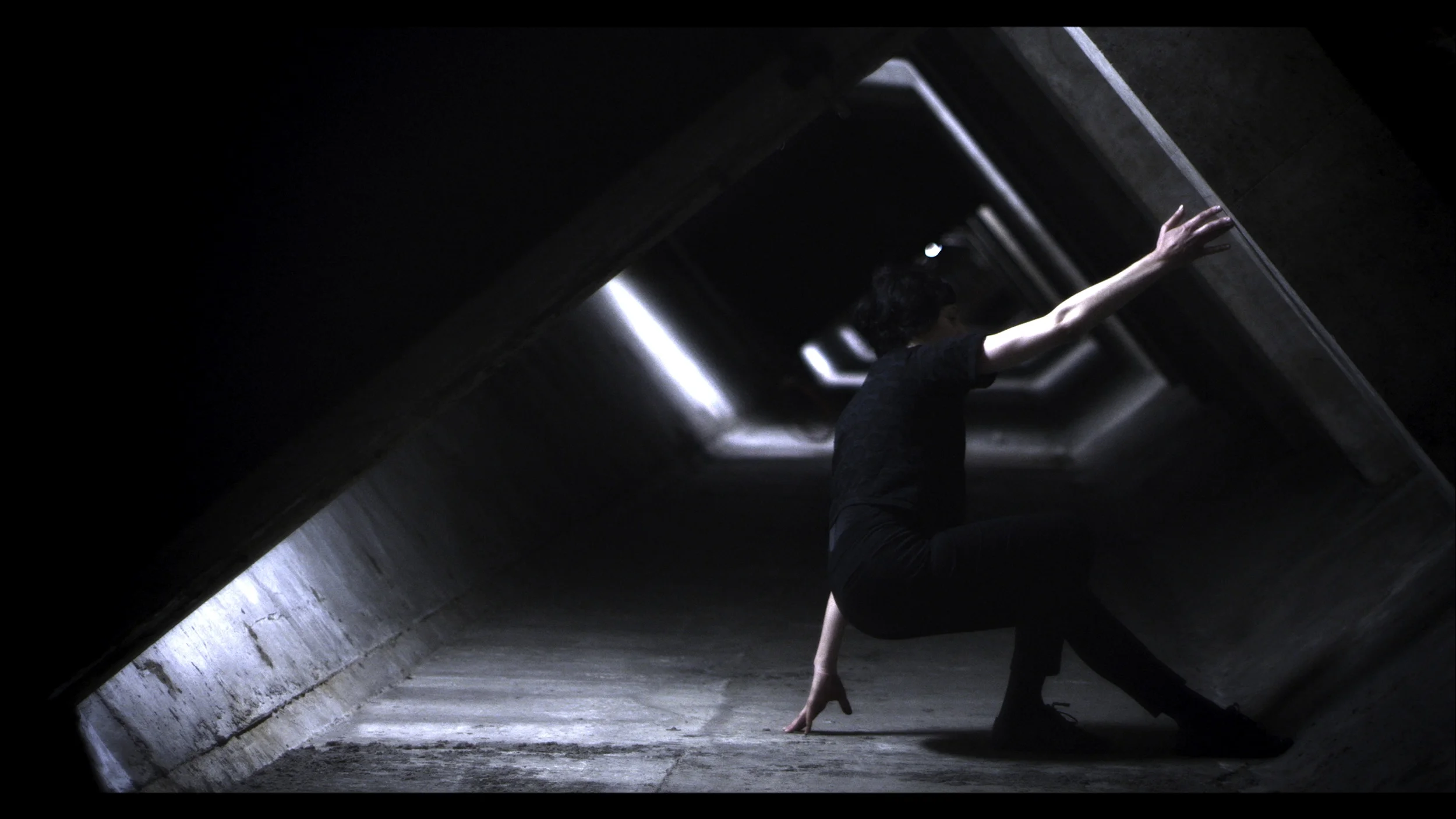 Echo, 2014