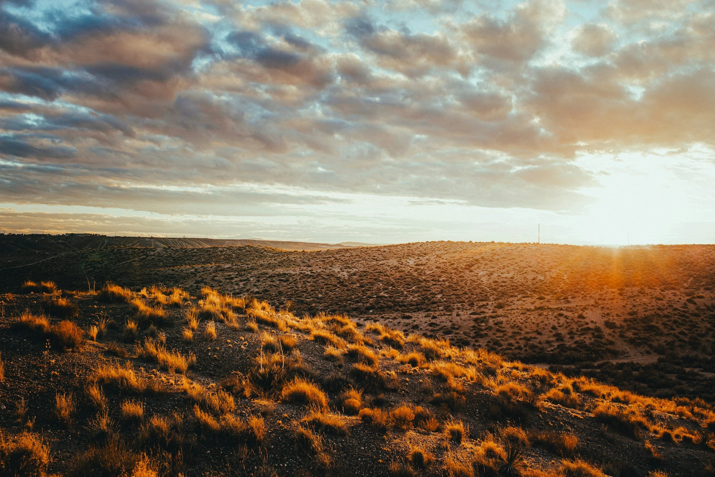 unsplash-image-0fVKQbBqB9k.jpg