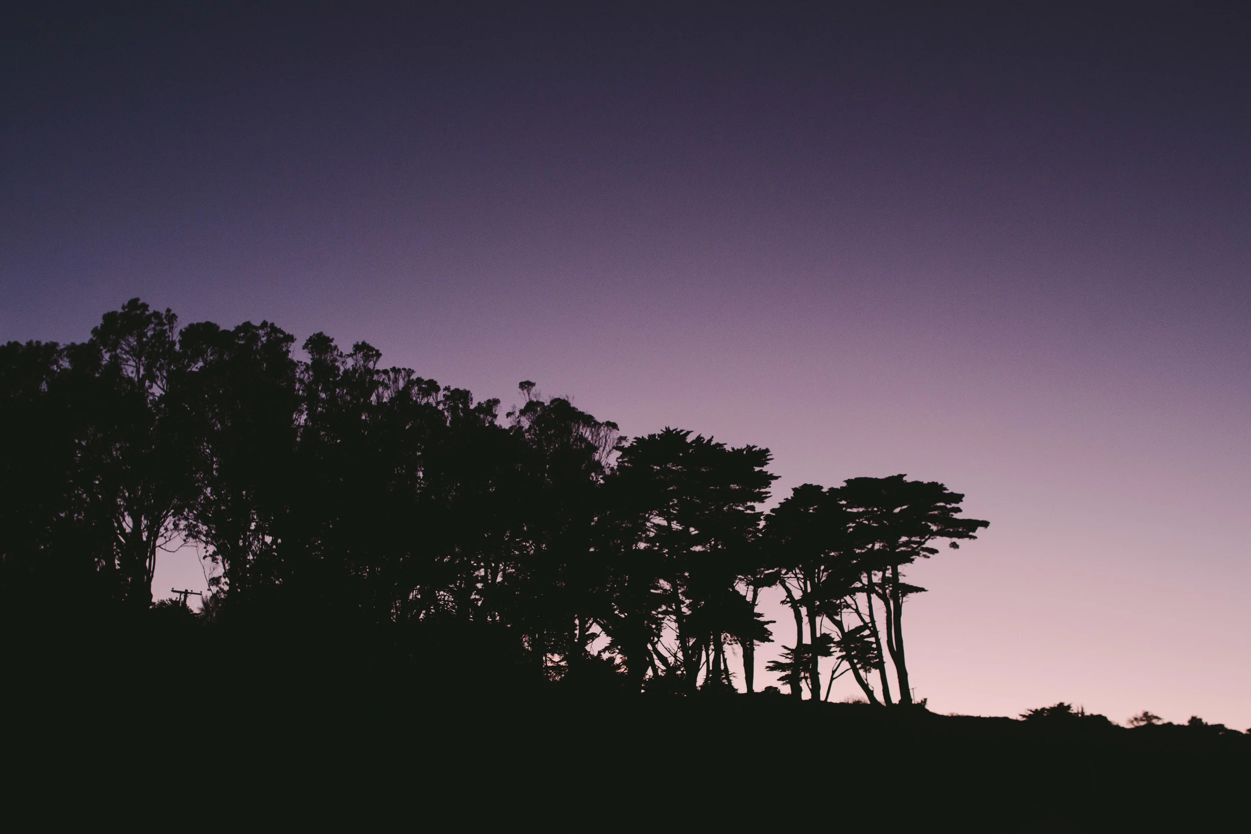 No Grain No Pink.jpg