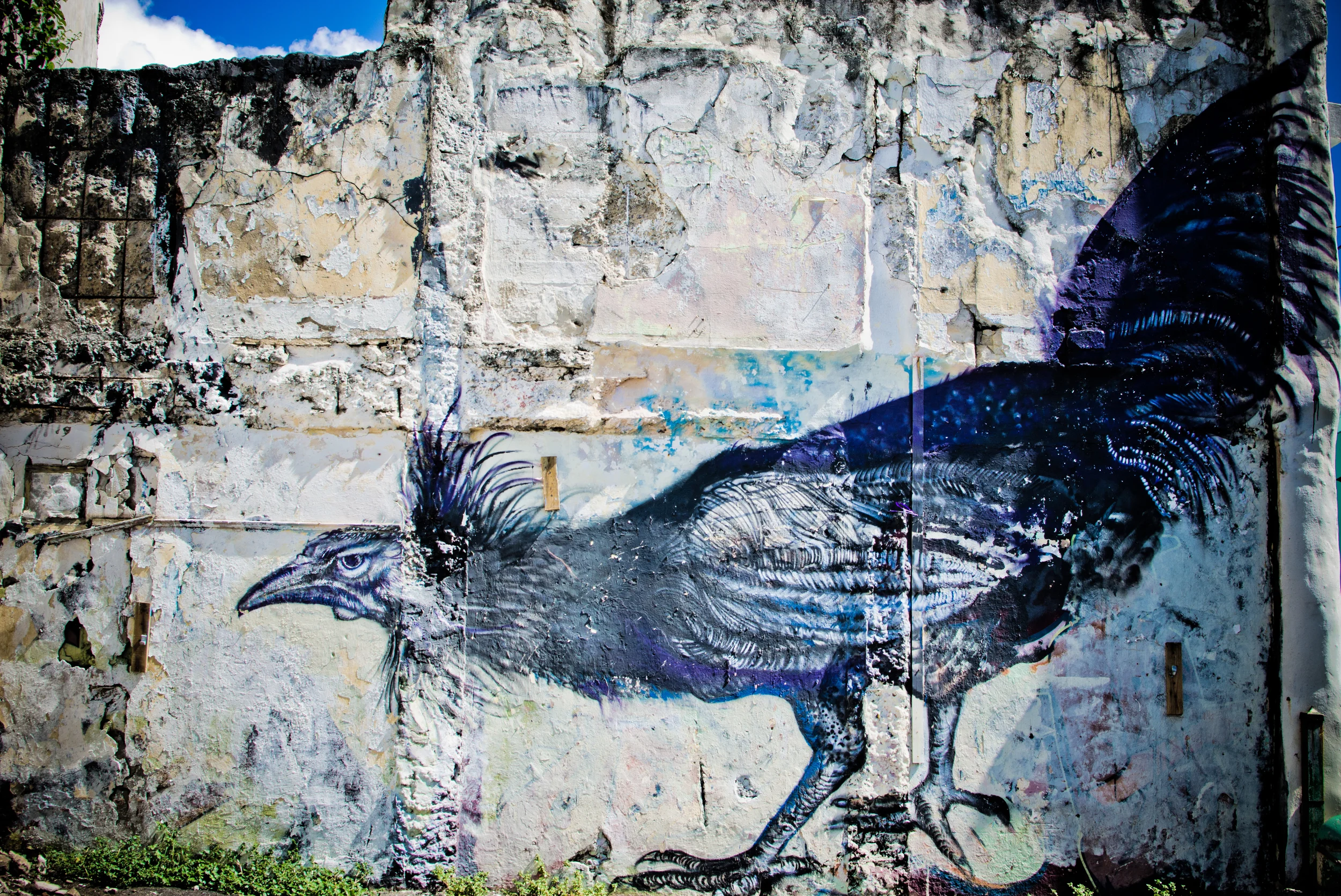 Puerto Rico Trip 8-5-13 Originals-7-5-Completed.jpg