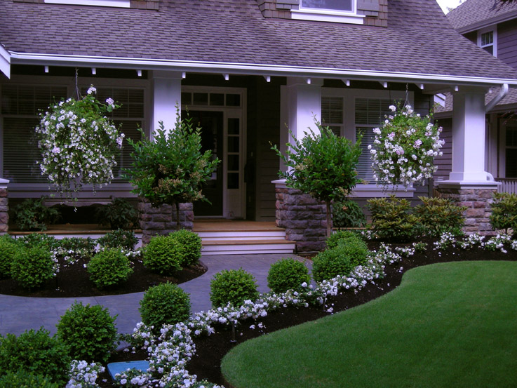 Curb Appeal Front Door Edition Darby Road Home