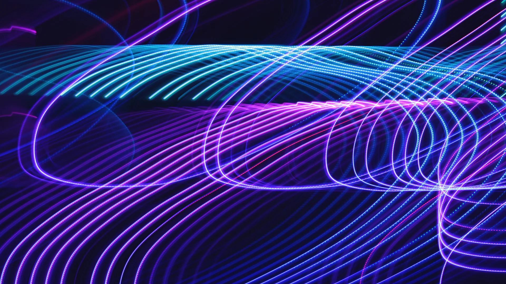 PLANT_LED_STR8 (0-00-09-10).jpg