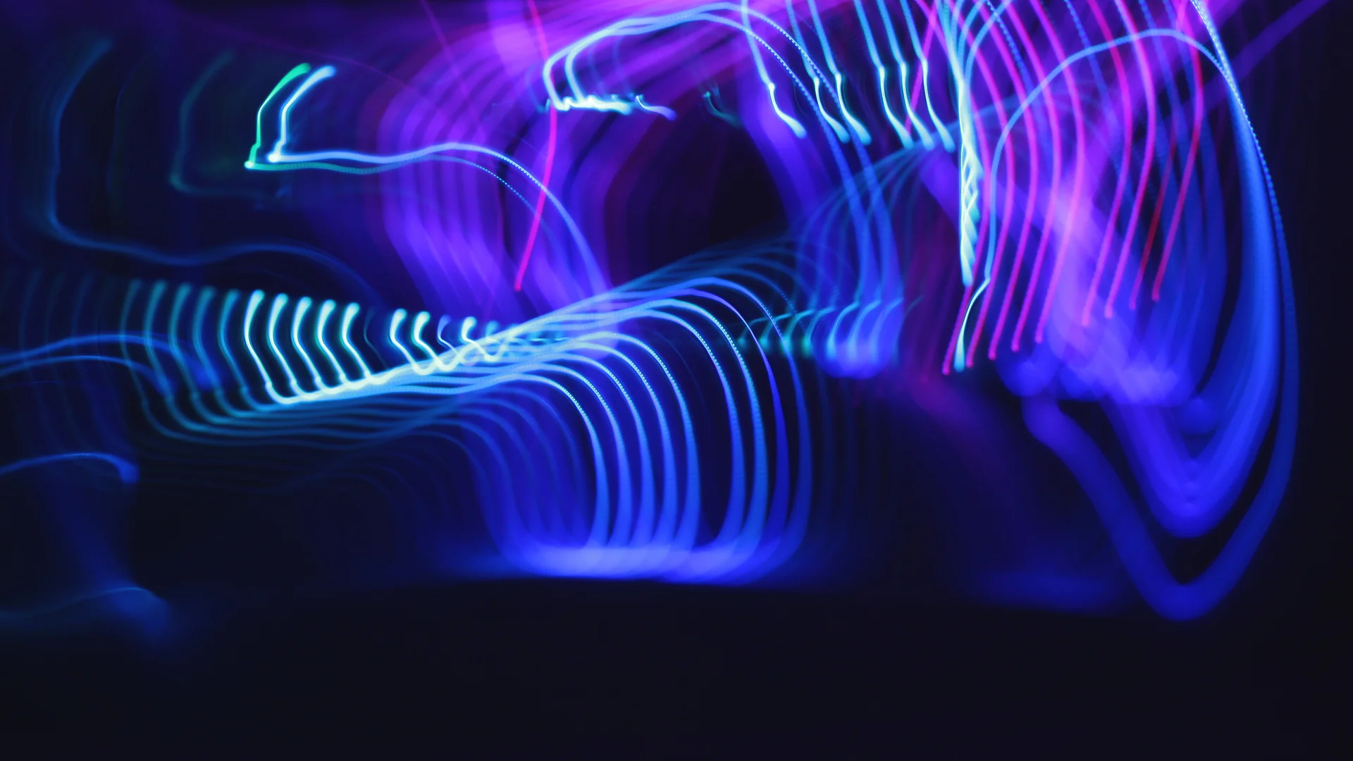 PLANT_LED_STR8 (0-00-11-04).jpg