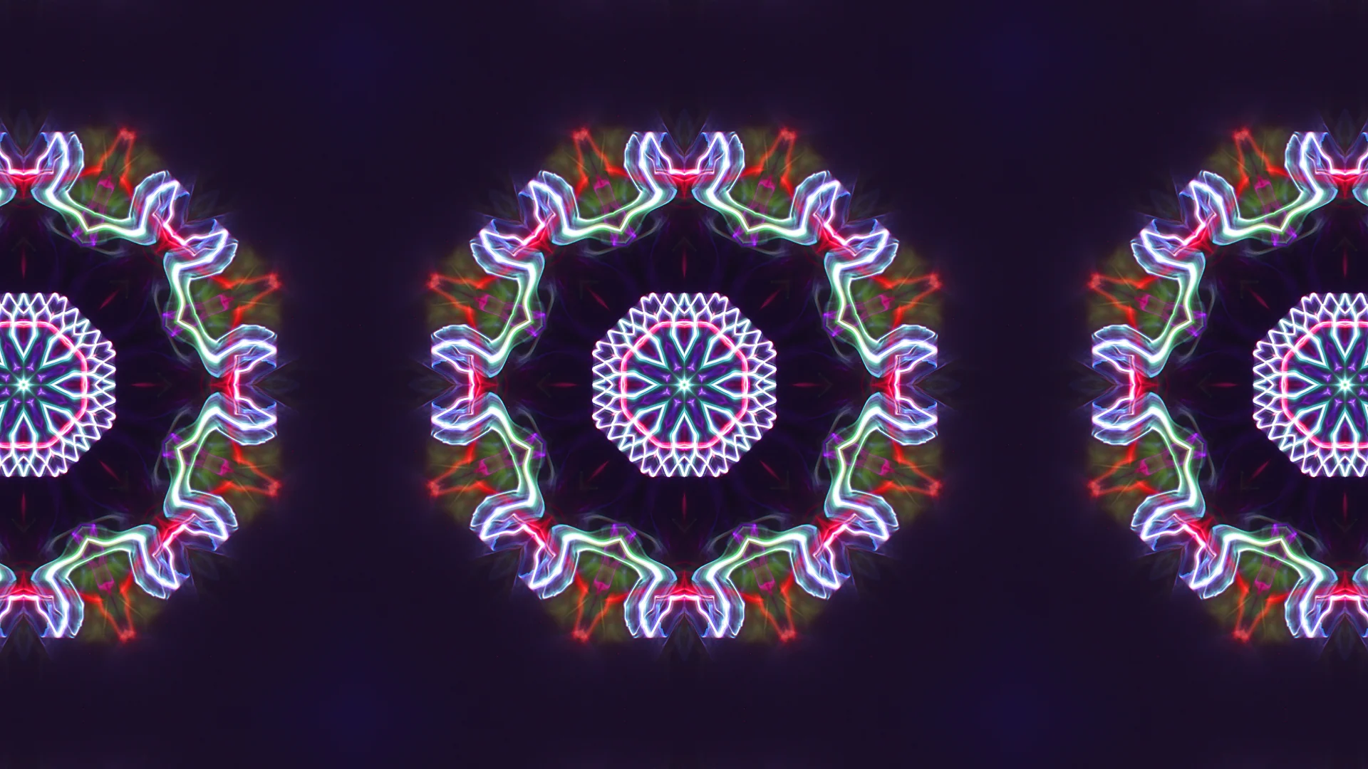 PLANT_LED_KALIEDA (0-00-07-01).jpg