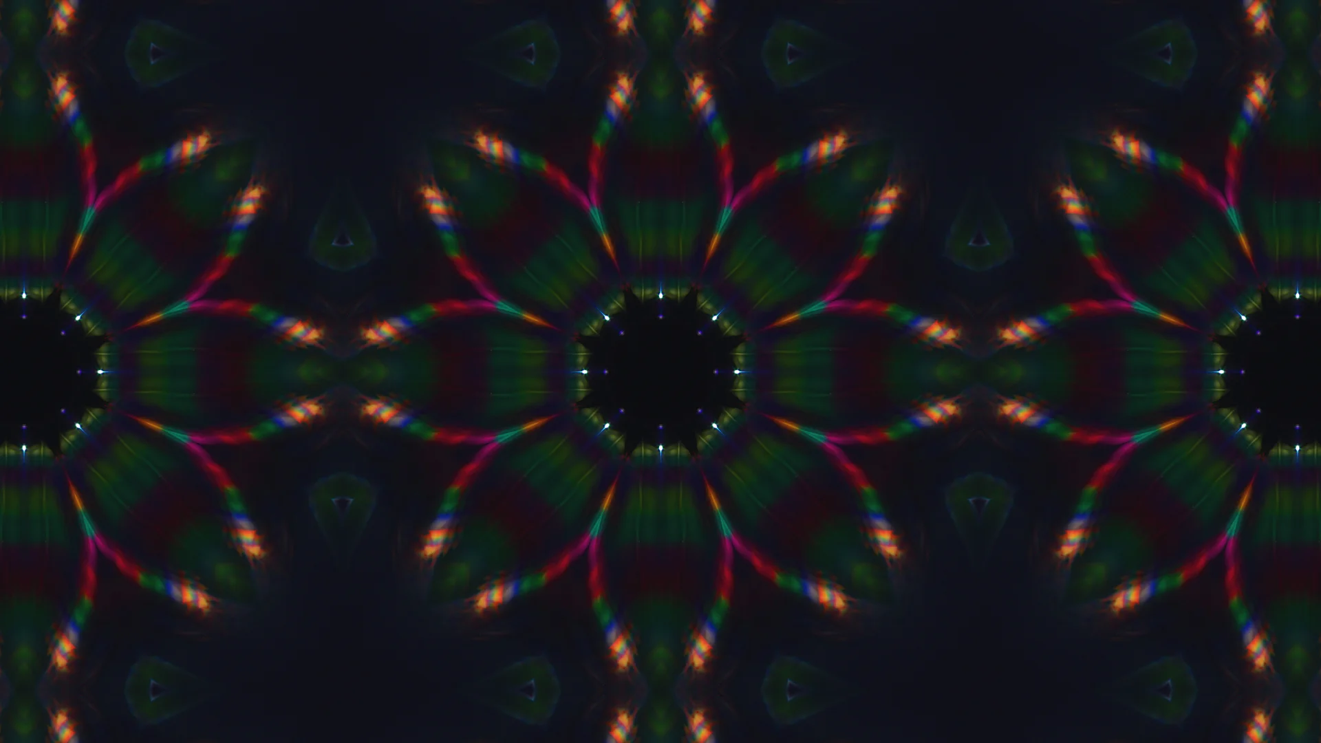 PLANT_LED_KALIEDA (0-00-09-06).jpg