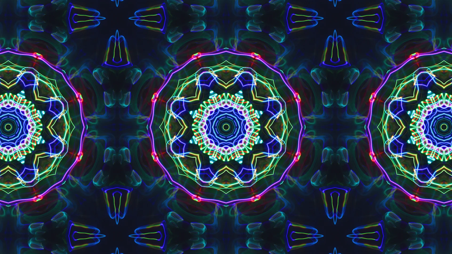 PLANT_LED_KALIEDA (0-00-09-02).jpg