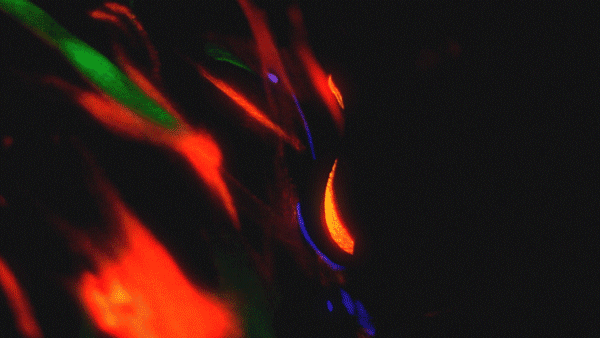 WATER_GIFS_1.gif