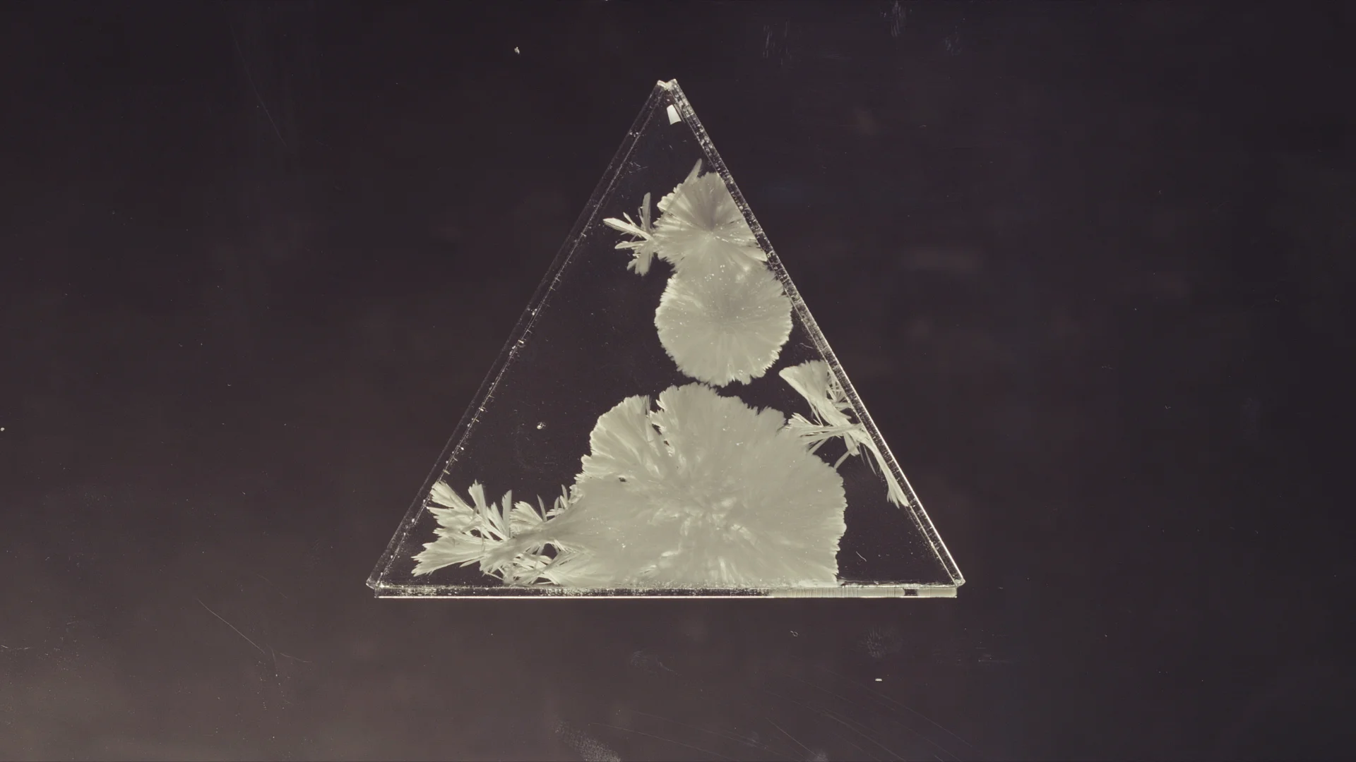 TYCHO_SEE_PRAC_EDIT_31.jpg