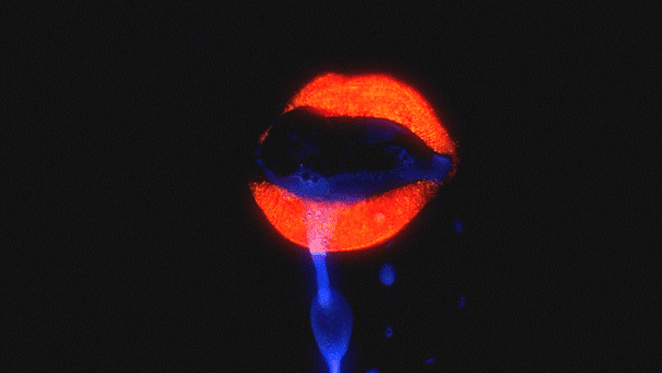 WATER_GIFS_4.gif