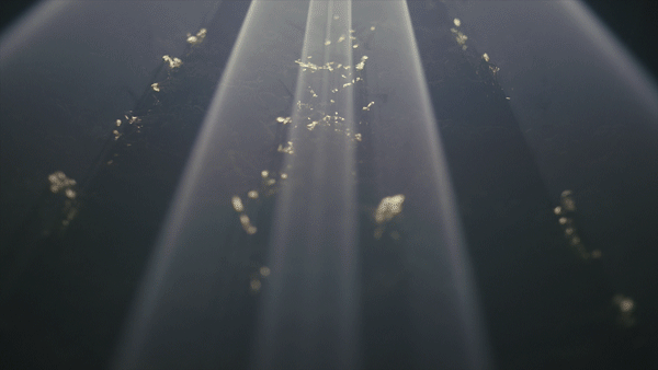 OFFF_COCOLAB_LOOP_2.gif