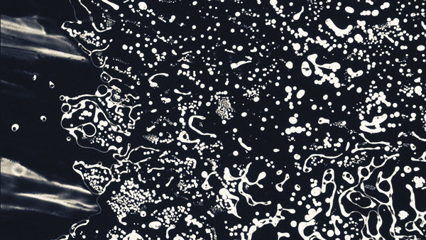IAT_MV_CLIP_02.gif