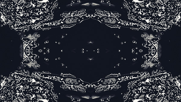 IAT_MV_CLIP_06.gif