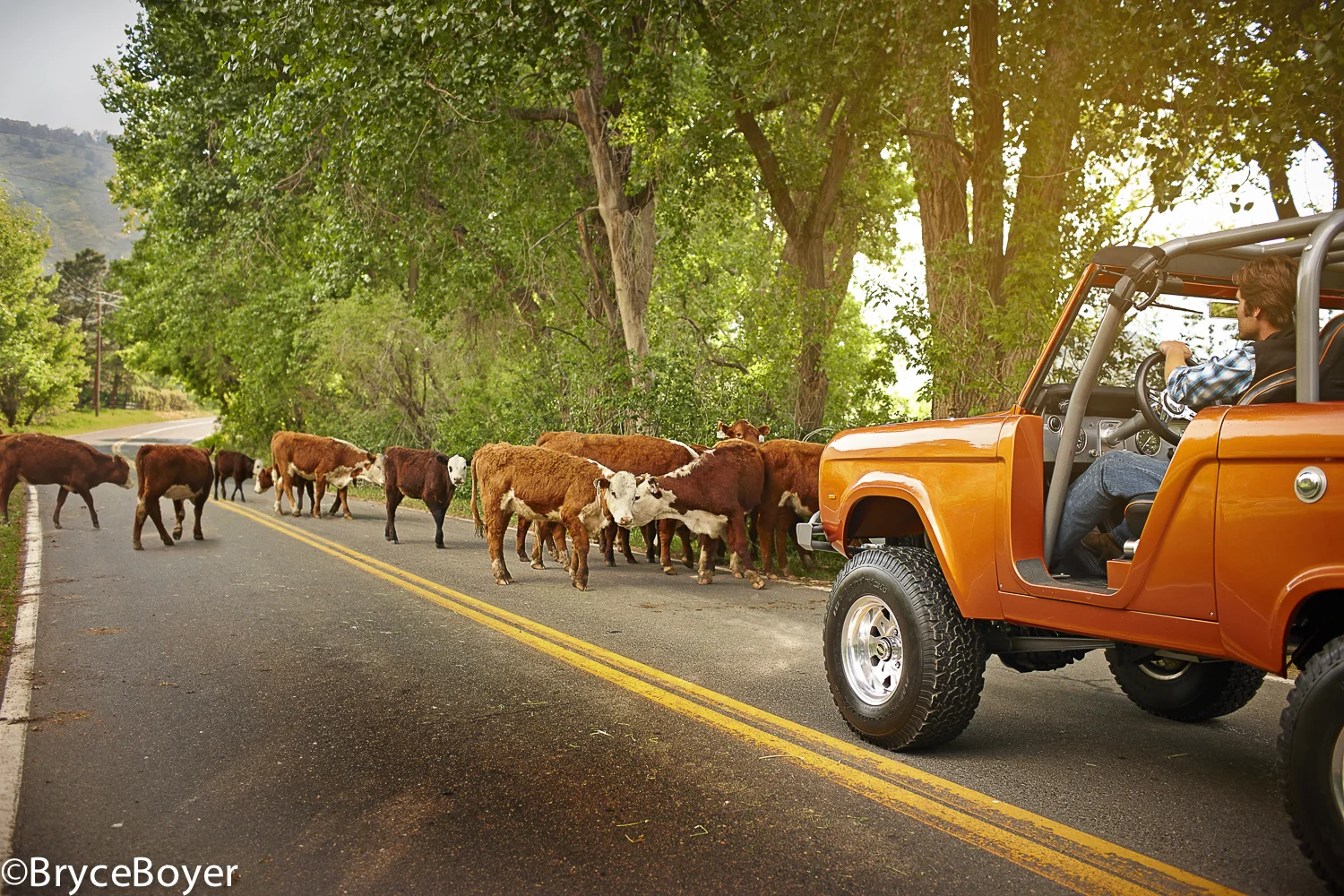 RMHP_Bronco_S5C1075_V6_LOW_RES.jpg