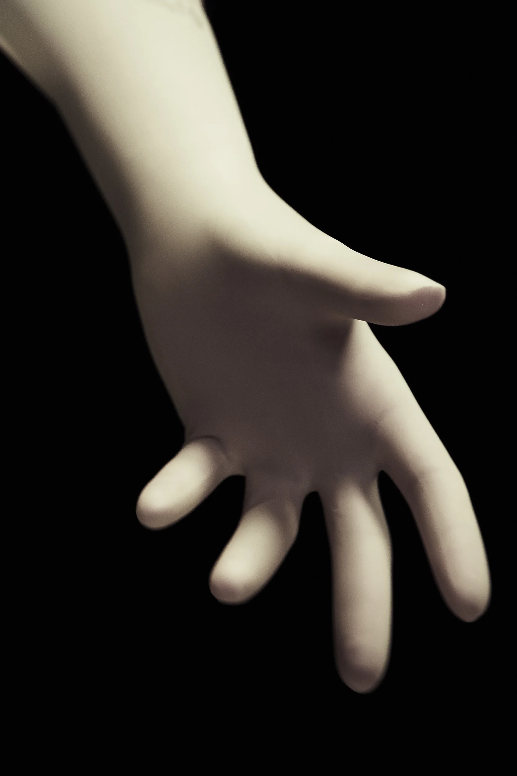 UCH_14_Maria_Cruz_124.jpg