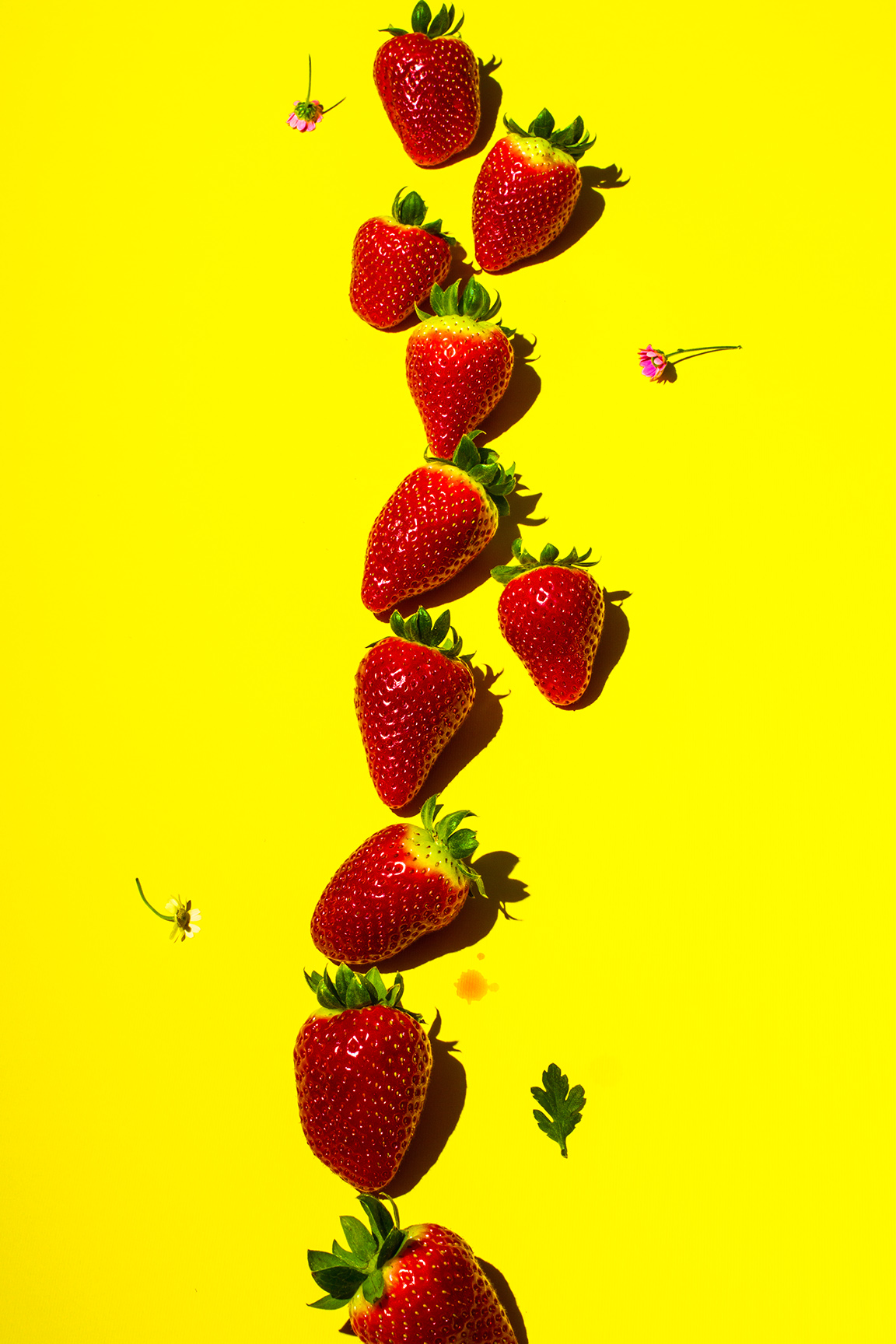 STRAWBERRIES.jpg