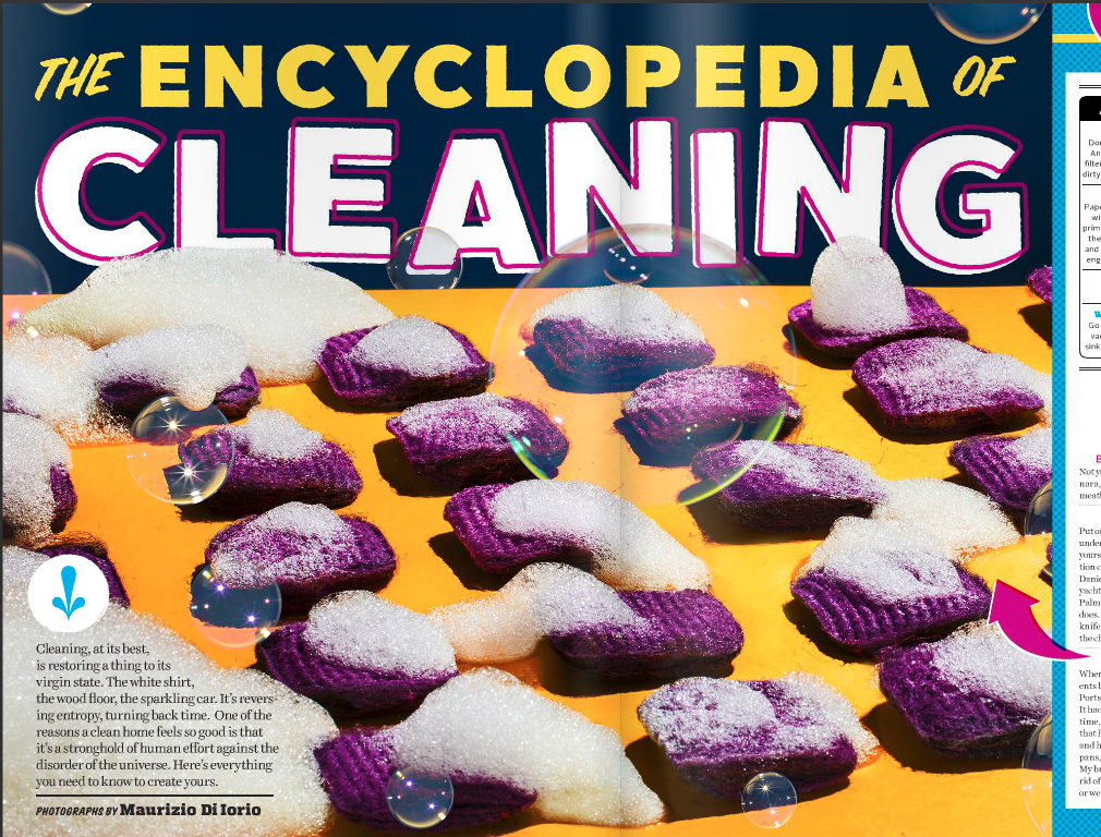   Dictionary of Cleaning for Popular Mechanics (October 2016)  