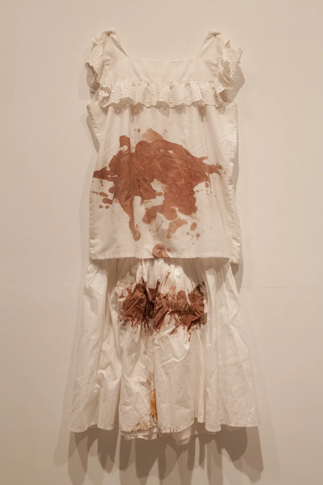The Indictment of Cora Montgomery. 2015. Exhibit and installation. performance relic. Guadalupe Cultural Arts Center
