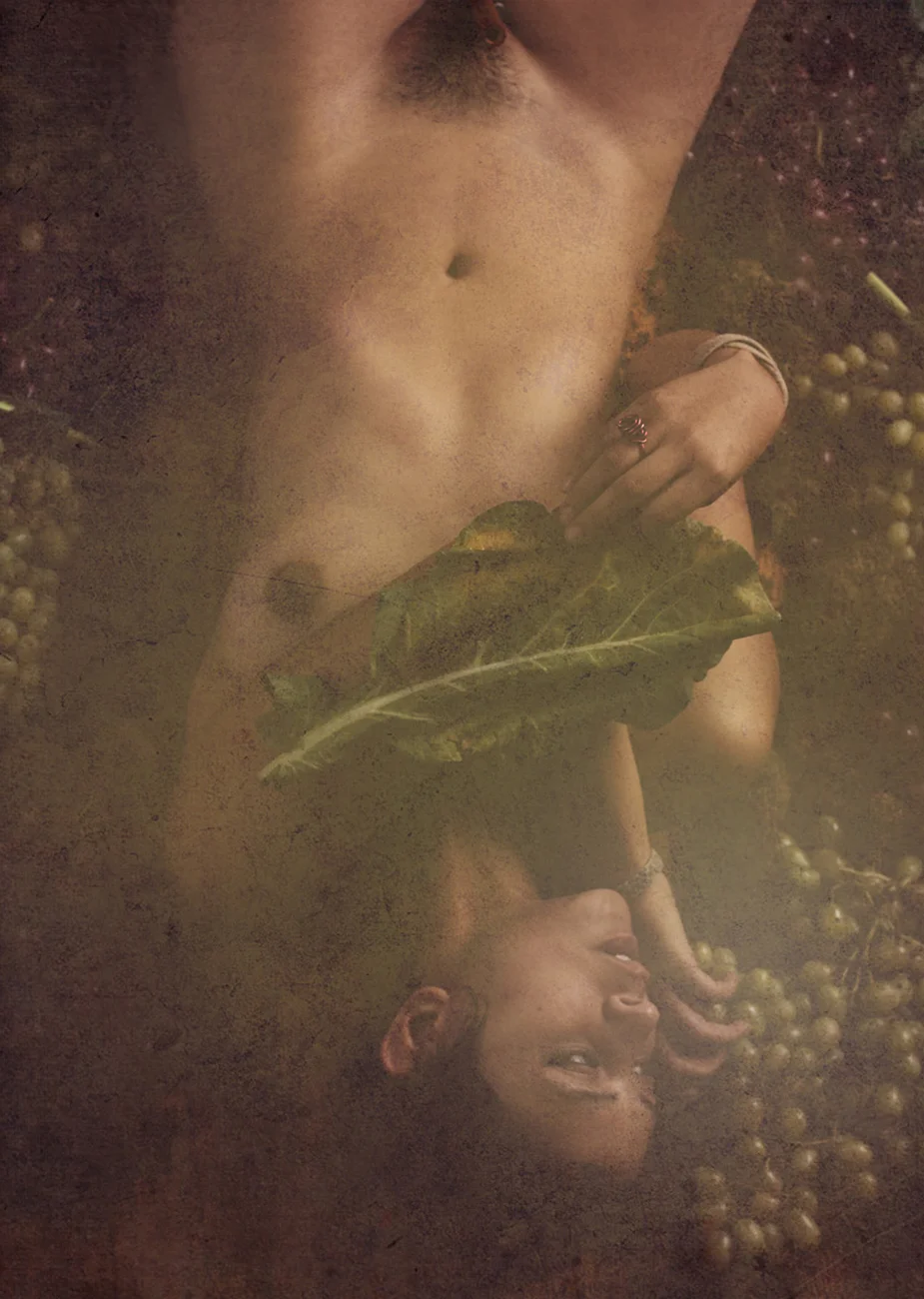 Dionysia, 2012, digital print, 24 x 30 in.