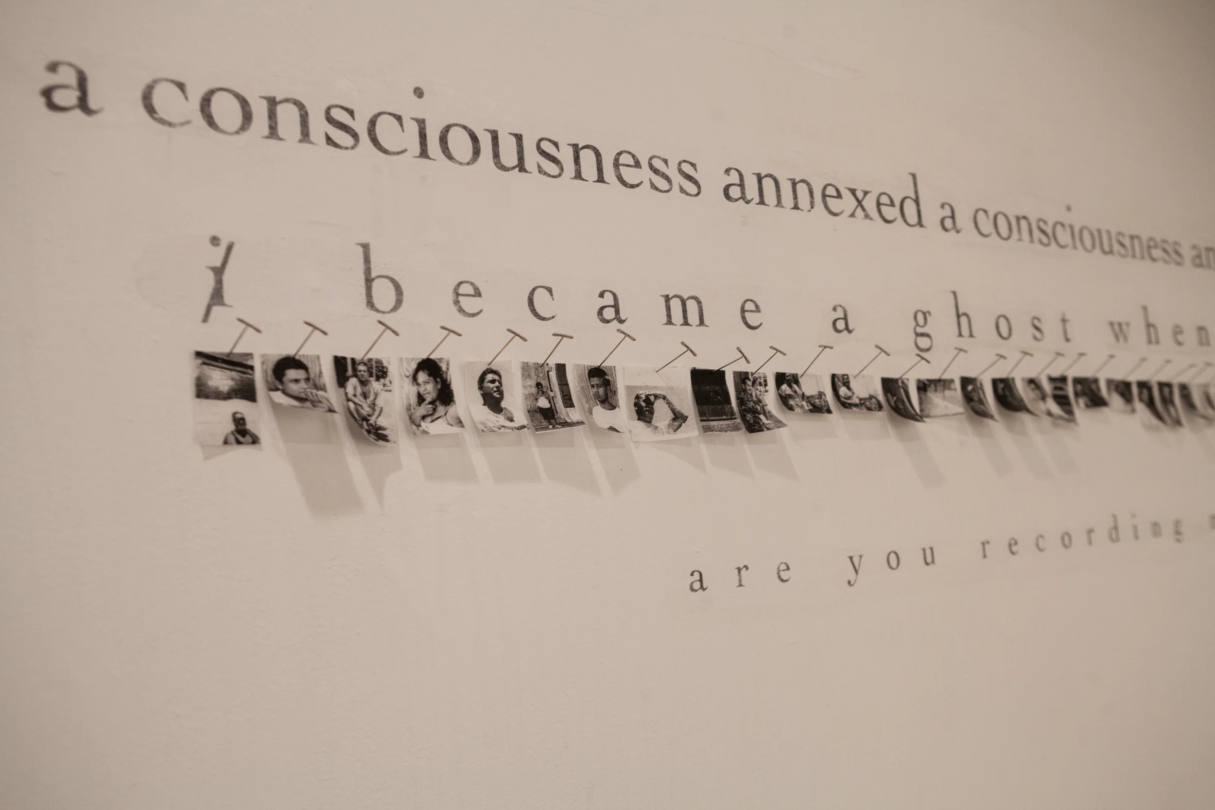 "Dysplacia." 2016. installation, pins, text, photographs on tracing paper. Studio 111