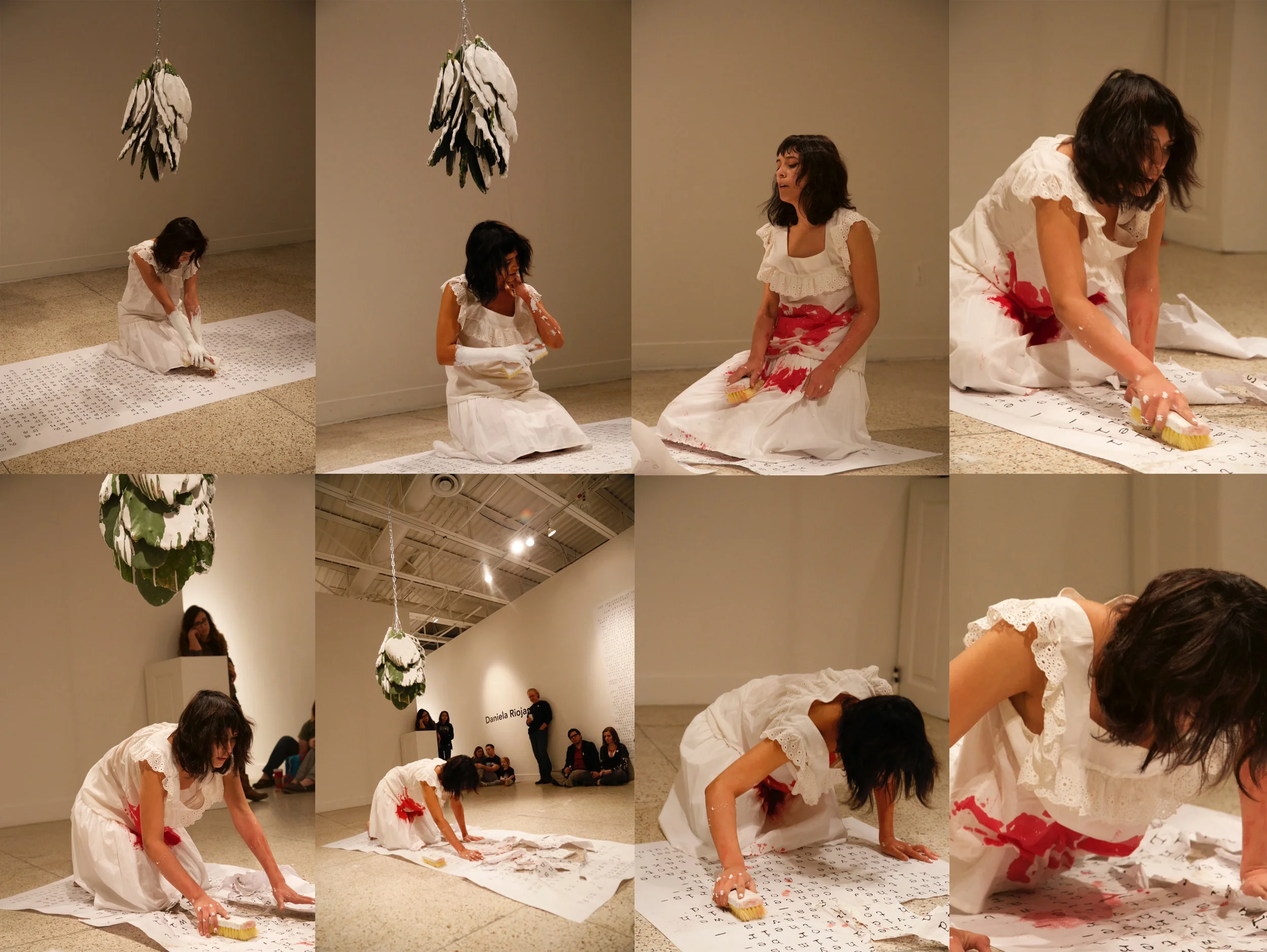 Cora performance spread.jpg