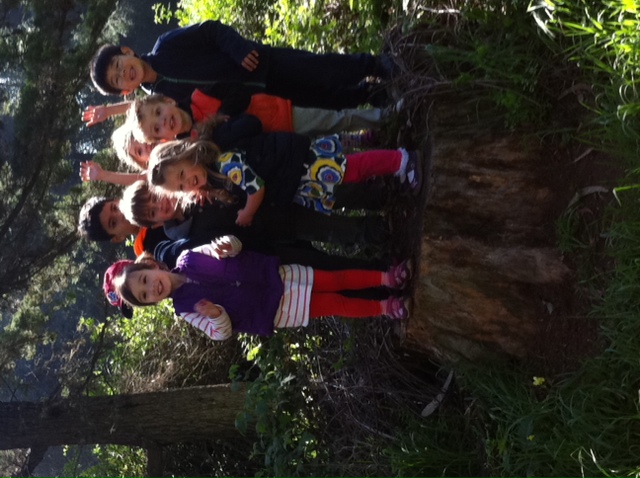 APM of San Francisco: Nature Walk & Five Senses