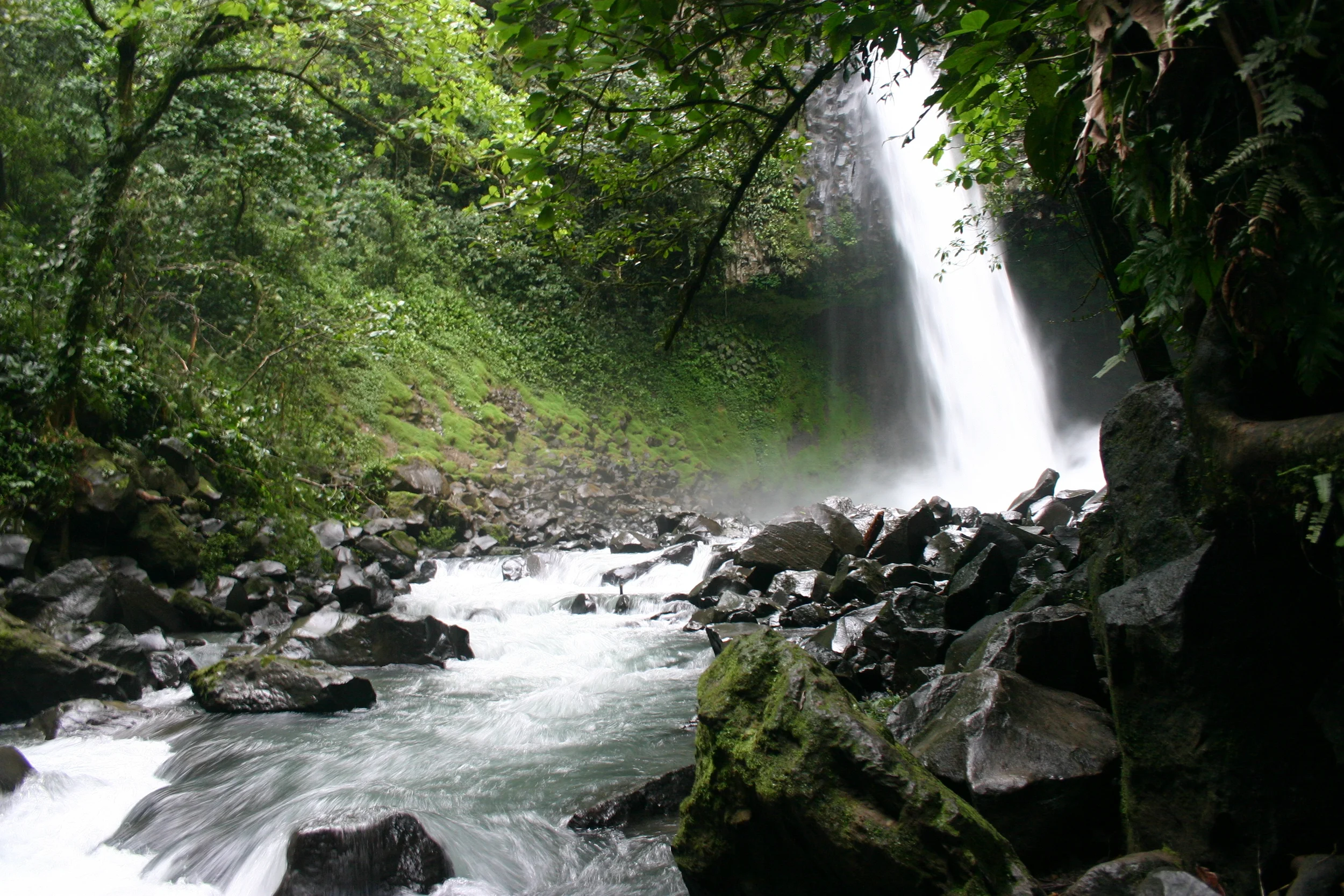 Algonquin Park - July 2009